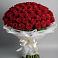 Букет 101 Красная роза Блэк Мэджик в Багане