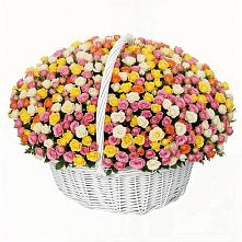 Премиум букет из: Розы в Багане