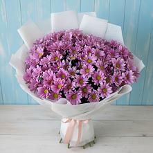 Букет цветов из:  Хризантемы в Багане