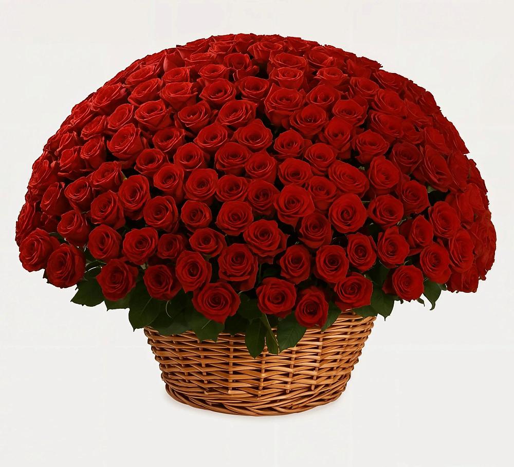 Премиум букет из: Розы в Багане