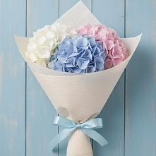 Букет цветов из:  Гортензия в Багане