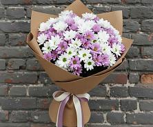 Букет цветов из:  Хризантемы #REPLACE_PRED# Багане