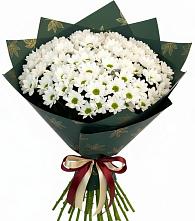 Букет цветов из:  Хризантемы в Багане