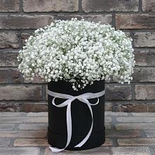 Цветочная композиция из Гипсофила в шляпной коробке #REPLACE_PRED# Багане