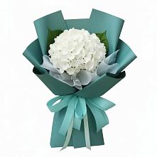 Букет цветов из:  Гортензия в Багане